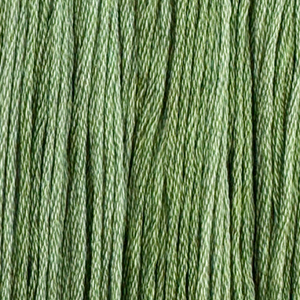 Aloe Vera Colour and Cotton Floss